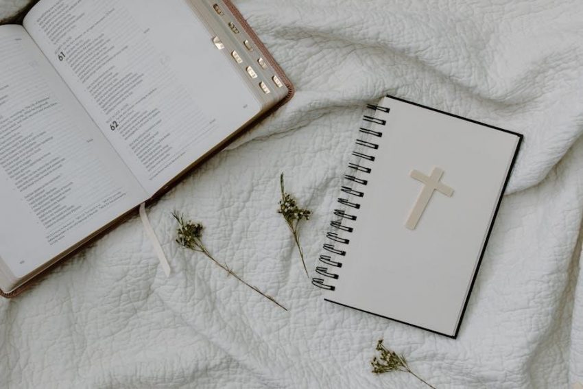 free printable bible study guide pdf